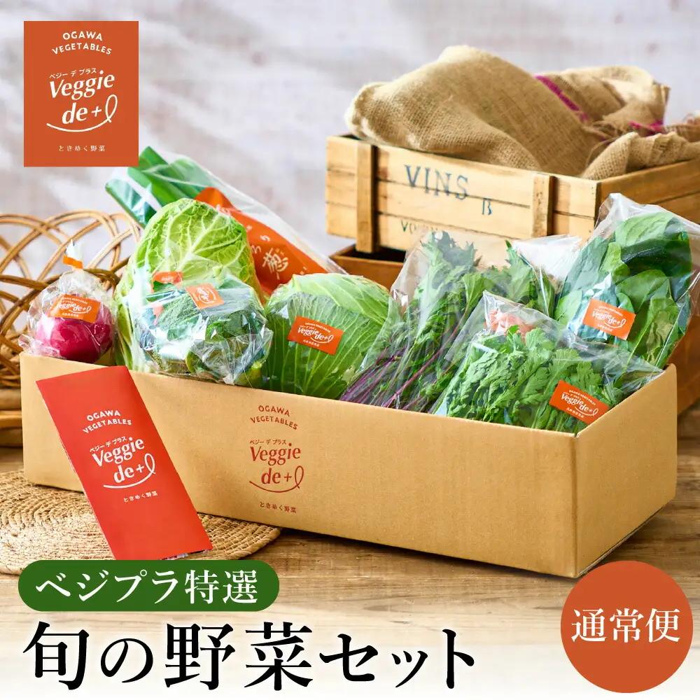 ベジプラ特選 旬の野菜セット Veggie de＋