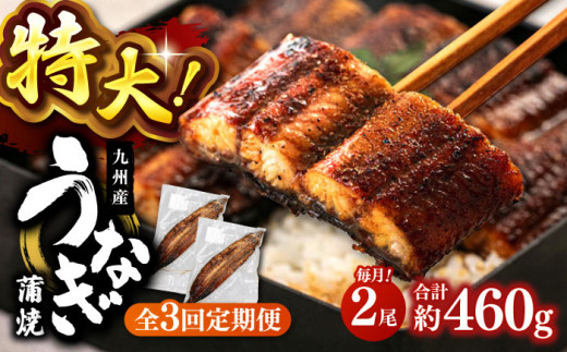 全3回定期便 特大！ 鹿児島産うなぎ 蒲焼2尾セット ▼ おすすめ 人気 国産 蒲焼き たれ タレ付き  桂川町/山水商事 [ADAH012]