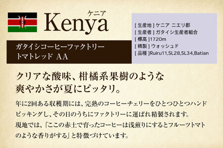 コーヒー豆 自家焙煎 浅煎り 100g 2種 計200g  (生豆時) 飲み比べ セット シングルオリジン