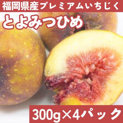 ふるさと納税 北九州市 福岡県産 とよみつ姫 約1.2kg (約300g×4パック入り)【2025年9下旬〜10月末発送】