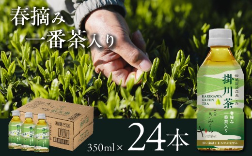 掛川茶 ペットボトル350ml×24本～伝統製法深蒸し茶～日本茶きみくら＜39528＞【1637482】