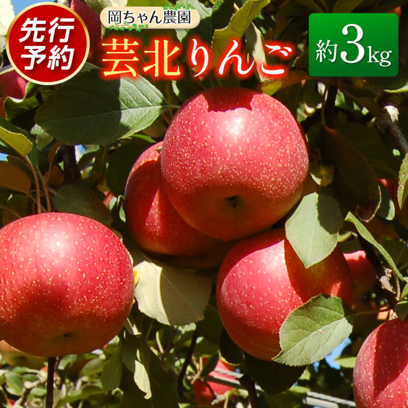 【ふるさと納税】≪10月中旬以降発送≫りんご 国産 3kg 農家直送 岡ちゃん農園 芸北りんご 林檎 夢つがる 秋映 とき すわっこ シナノスイート 陽光 ぐんま名月 シナノゴールド ふじ