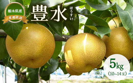 
                  梨 豊水 約5kg（10~14玉） ※2026年9月～発送
                
