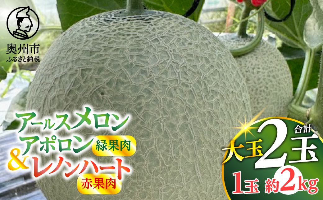  2種類アールスメロン詰め合わせ アールスメロン アポロン(緑果肉) レノンハート(赤果肉) 各1個 合計2個 【数量限定】 [CL005]