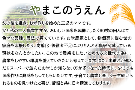 ＜古代米も入った！やまこのうえんのお米 4種類食べ比べセット 合計5.3kg＞ お米 コメ ご飯 ライス 穀物 こしひかり コシヒカリ にじのきらめき 古代米 黒米 赤米 食べ比べ 特産品 やまこのう