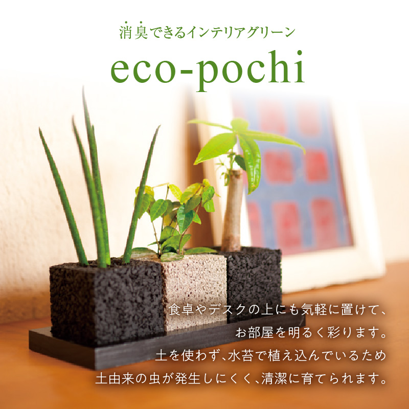 S060-121_エコ・アースでご利用可能なお買い物券　10,000円分
