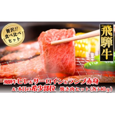 【冷凍】飛騨牛ヒレ・サーロイン・ランプ赤身・本日の希少部位焼肉セット　各340g【11-57】