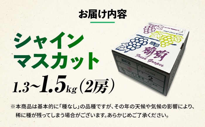シャインマスカット しゃいんますかっと マスカット muscat フルーツ くだもの 果物 完熟 高糖度 ギフト 贈り物
