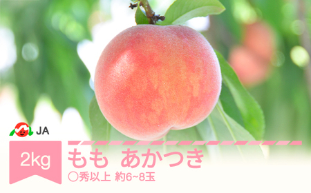【先行予約】もも 桃 あかつき 約2kg ◯秀以上 (約6〜8玉) 令和8年産 2026年産 山形県村山市産 果物 フルーツ ja-moatx2 ※沖縄・離島への配送不可
