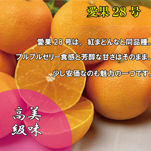 【先行予約】【2025年11月下旬以降順次発送】訳あり 家庭用 愛果28号 約2kg 訳あり あいか みかん 柑橘 松山 愛媛県 人気おすすめ 紅まどんな 紅マドンナ と同品種 【VEG0032】