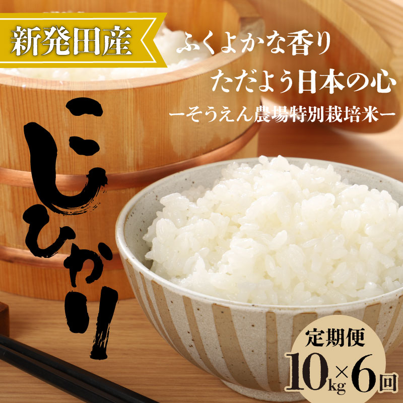【定期便】 令和7年産 そうえん米コシヒカリ 10㎏×6か月  【 新潟県 新潟産 新潟米 新発田産 新発田 お米 米 コシヒカリ とんとん市場 せいだ そうえん米 10kg 60kg 6か月 半年 定期便 数量限定 D12_03