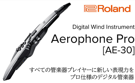 電子管楽器 Aerophone Pro AE 30 電子管楽器