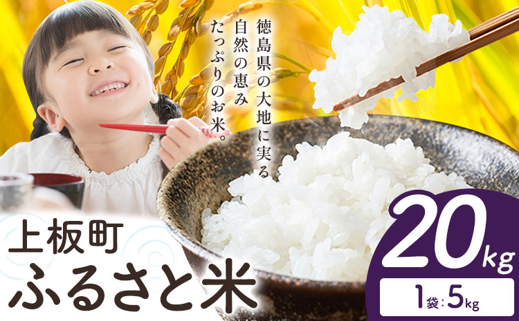 もちもち美味しい！ 上板町ふるさと米 精米 20kg 《11月中旬-12月末頃出荷》徳島県 上板町 お米 米 白米