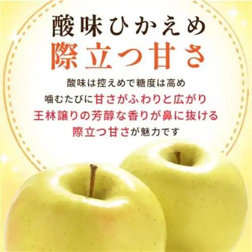 【26年10月から順次発送】青森県産りんご トキ 約5kg 訳あり 平均糖度12度以上!【配送不可地域：離島・沖縄県】【1734958】