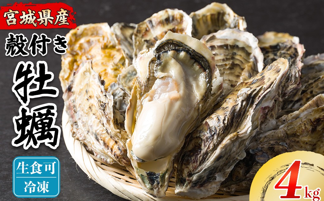 
                  松島牡蠣屋 冷凍牡蠣（生食用） 4kg 宮城県産 牡蛎 牡蠣 カキ オイスター カキフライ 牡蠣鍋 海鮮 国産 魚貝類 急速冷凍 【菊地水産合同会社】tm751
                