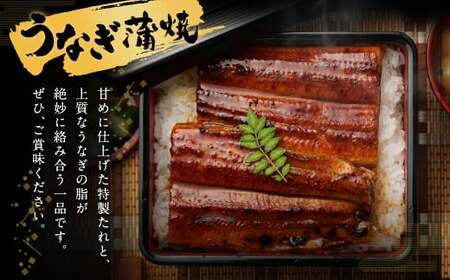 【3ヶ月定期便】鰻天屋の 九州産 うなぎ 蒲焼 約140g×2尾 セット