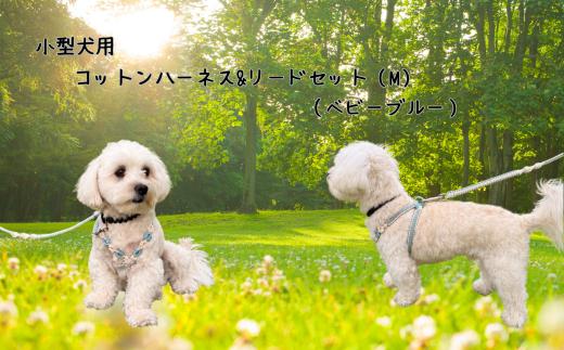 8-036-005　小型犬用 コットンハーネス（Mサイズ）&リードセット（ベビーブルー）