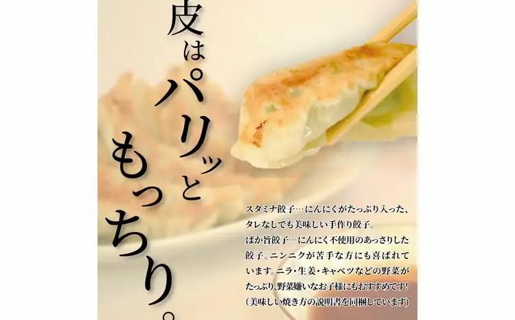 特製！手作り餃子セット（スタミナ餃子30個＋ばか旨餃子30個）〈餃子 冷凍餃子 セット 冷凍食品 人気 美味しい 老舗 有名店  手作り ギョーザ ぎょうざ 野菜 おかず 総菜 おつまみ 中華 大量〉