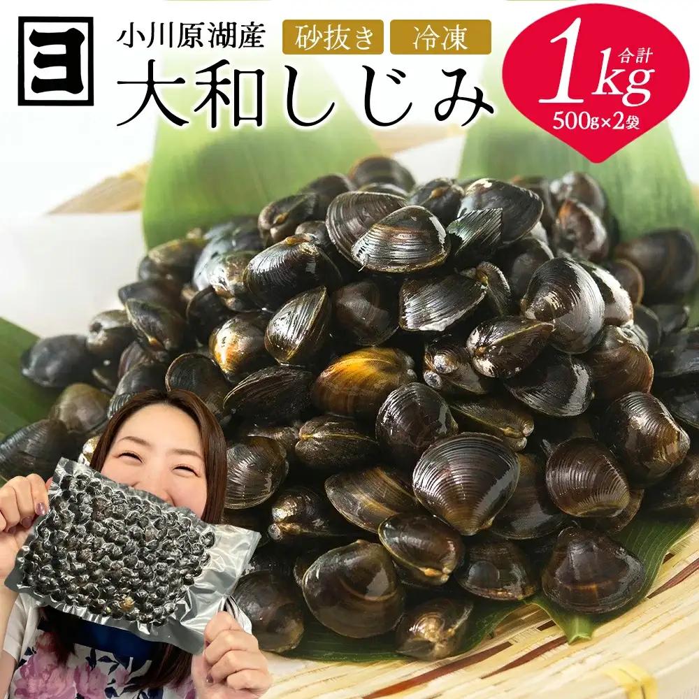 砂抜き済みで手間いらず！冷凍・小川原湖産大和しじみ1kg（500g×2袋）　【02408-0158】