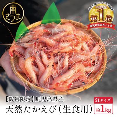 ふるさと納税 南さつま市 【数量限定】鹿児島県産 天然たかえび(生食用) 約1kg [2Lサイズ]