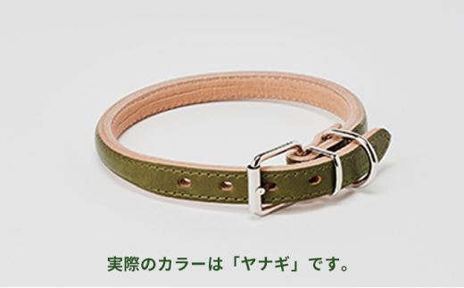 [№5258-7040]0097good collar 5号［犬 猫 首輪］ヤナギ