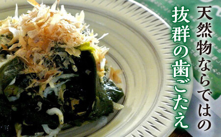 【大容量サイズ】 いとしま 干しわかめ 糸島市 / 山下商店【いとしまごころ】 乾物 乾燥わかめ[ANA037]