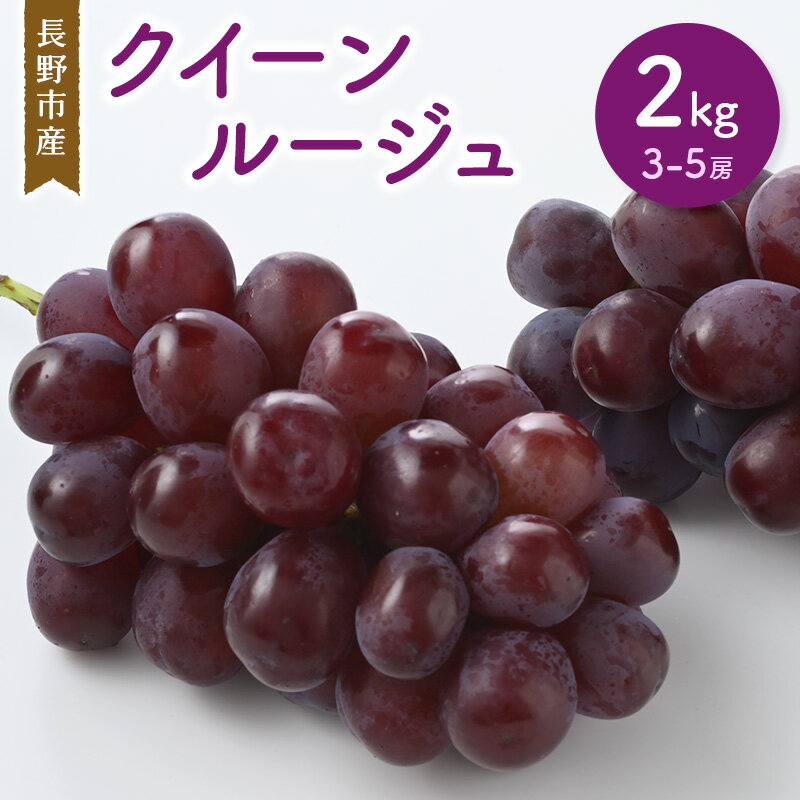 【ふるさと納税】クイーンルージュ 2kg 3-5房 長野市産 フルーツ 果物 ぶどう ※配送不可:沖縄、離島　お届け：2025年9月中旬～10月中旬まで