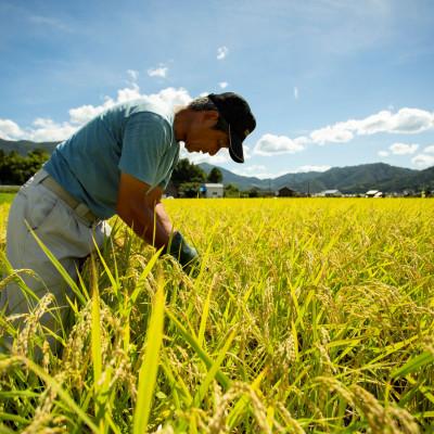 ふるさと納税 与謝野町 【先行予約】令和7年新米　京都府産「京の豆っこ米」5kg　有機肥料使用　おいしい丹後のコシヒカリ |  | 02