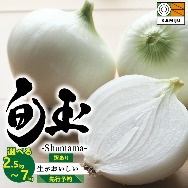 【ふるさと納税】高評価☆4.7 先行予約 訳あり とにかく甘い 新玉ねぎ 旬玉 選べる 容量 2.5kg ～ 7kg 人気 季節ごとの旬玉 玉ねぎ 甘み豊か みずみずしい オニオン 生がおいしい ミネラル サラダ 玉ねぎステーキ スープ 農場 神重農産 お取り寄せ 愛知県 碧南市 送料無料