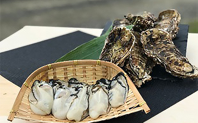 『漁師直送』北海道 オホーツク サロマ湖産 牡蠣 むき身食べ比べ1キロと殻付き6キロ かき カキ 国産 貝付き 生牡蠣 魚貝類 海鮮 生食用 加熱用 1年牡蠣 濃厚 2年牡蠣 カキフライ