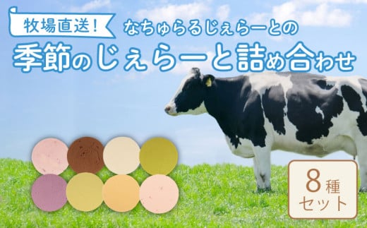 なかの牧場なちゅらるじぇらーとセット ８個入  【 ミルク チョコ ブルーベリー チーズ ピスタチオ 塩 キャラメル アイス ジェラート セット 季節 てづくり なちゅらるじぇらーと なかの牧場 8個  F04_01 】