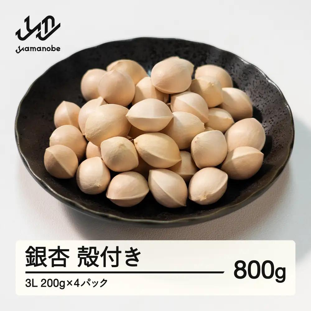 ≪先行予約≫2026年 山形県産 銀杏 殻付き 3L 約800g（200g×4パック） 2026年10月上旬から順次発送 ぎんなん おつまみ 真空パック 個包装 小分け 秋 野菜 F20A-928