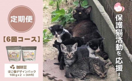 定期便 6回 コーヒー 保護猫活動を応援！ 珈琲豆 2種各100g×6カ月 珈琲
