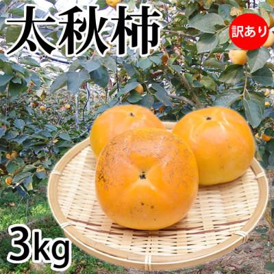 ふるさと納税 菊池市 太秋柿 訳あり 約3kg【2026年10月下旬-11月下旬発送予定】(菊池市)