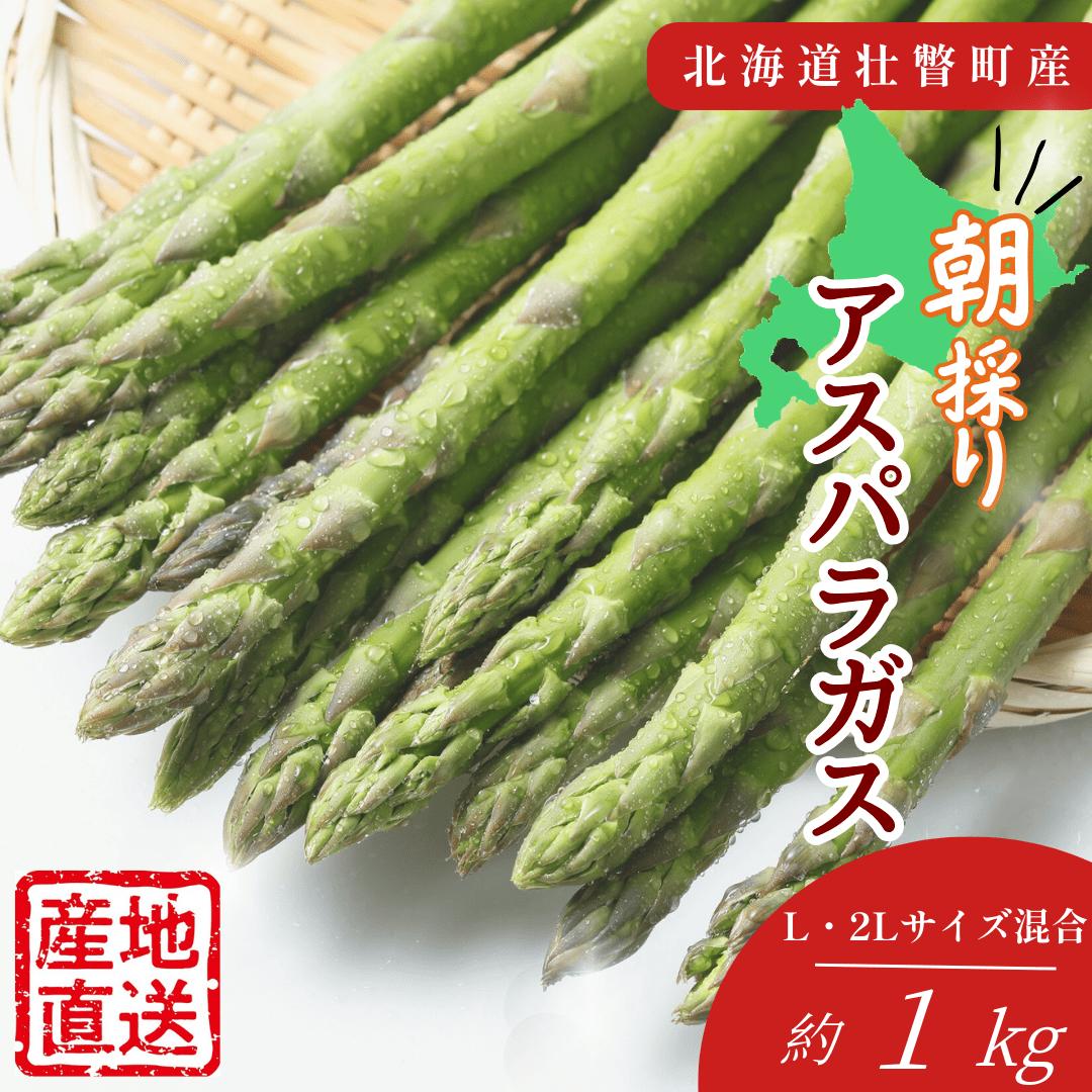 【先行予約】朝採り直送 グリーンアスパラ約1kg（L・2L混合） 北海道壮瞥町産 SBTM008