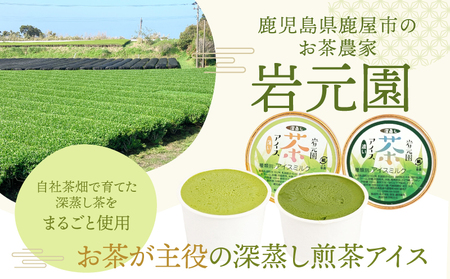 お茶 農家 の 深蒸し茶 アイス（ 濃・薄 各6個 計12個 ） KN166-001-02 濃い 薄い お茶農家 岩元園 ふるさと納税 鹿児島 鹿屋市 おすすめ ランキング プレゼント ギフト