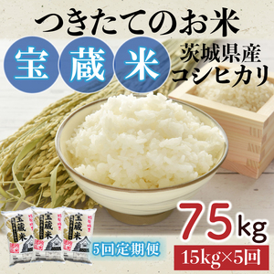 【5ヶ月定期便】【令和7年産】茨城県産コシヒカリ 宝蔵米 15kg×5回【お米 米 菊池 こしひかり つきたてのお米 食味ランキング特A評価 茨城県 水戸市】（CZ-714）
