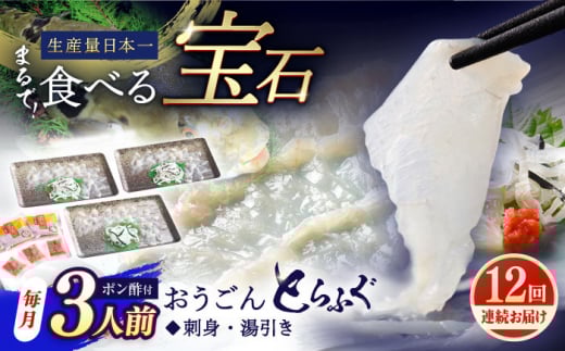 【全12回定期便】活〆おうごんとらふぐ 刺身 セット（3人前） 平戸市 / 松永水産 [KAB278]おうごんとらふぐ 刺身 通販 お取り寄せ 長崎 高級魚 海鮮 グルメ ごちそう トラフグ ふぐ