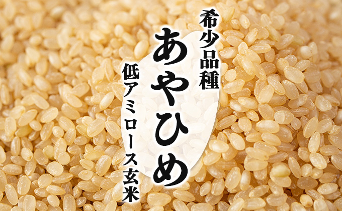 令和7年産 北海道岩見沢市産 あやひめ玄米5kg ≪沖縄・離島配送不可≫【35029】