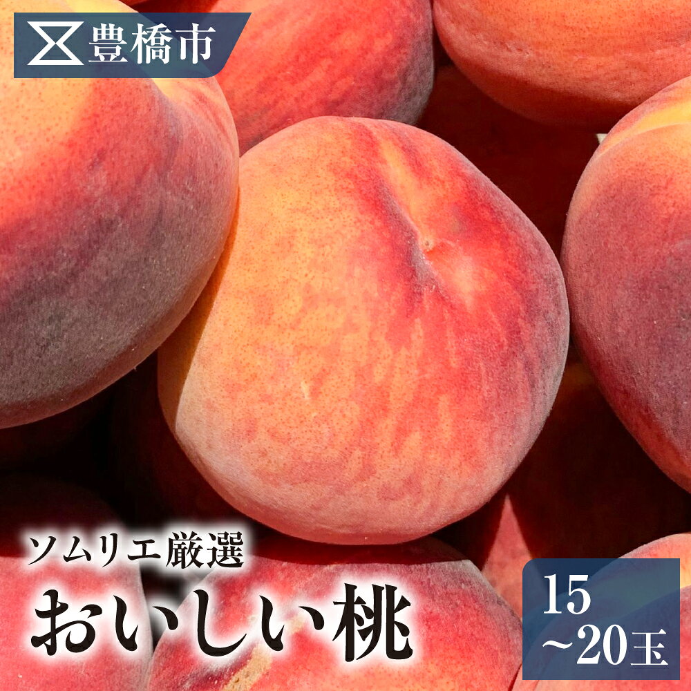 【ふるさと納税】《先行予約》豊橋市産 桃 5kg（15～20玉・品種おまかせ）もも モモ 旬の品種 産地直送 日川白鳳 みさか白鳳 勘助白桃 なつおとめ桃 川中島白桃