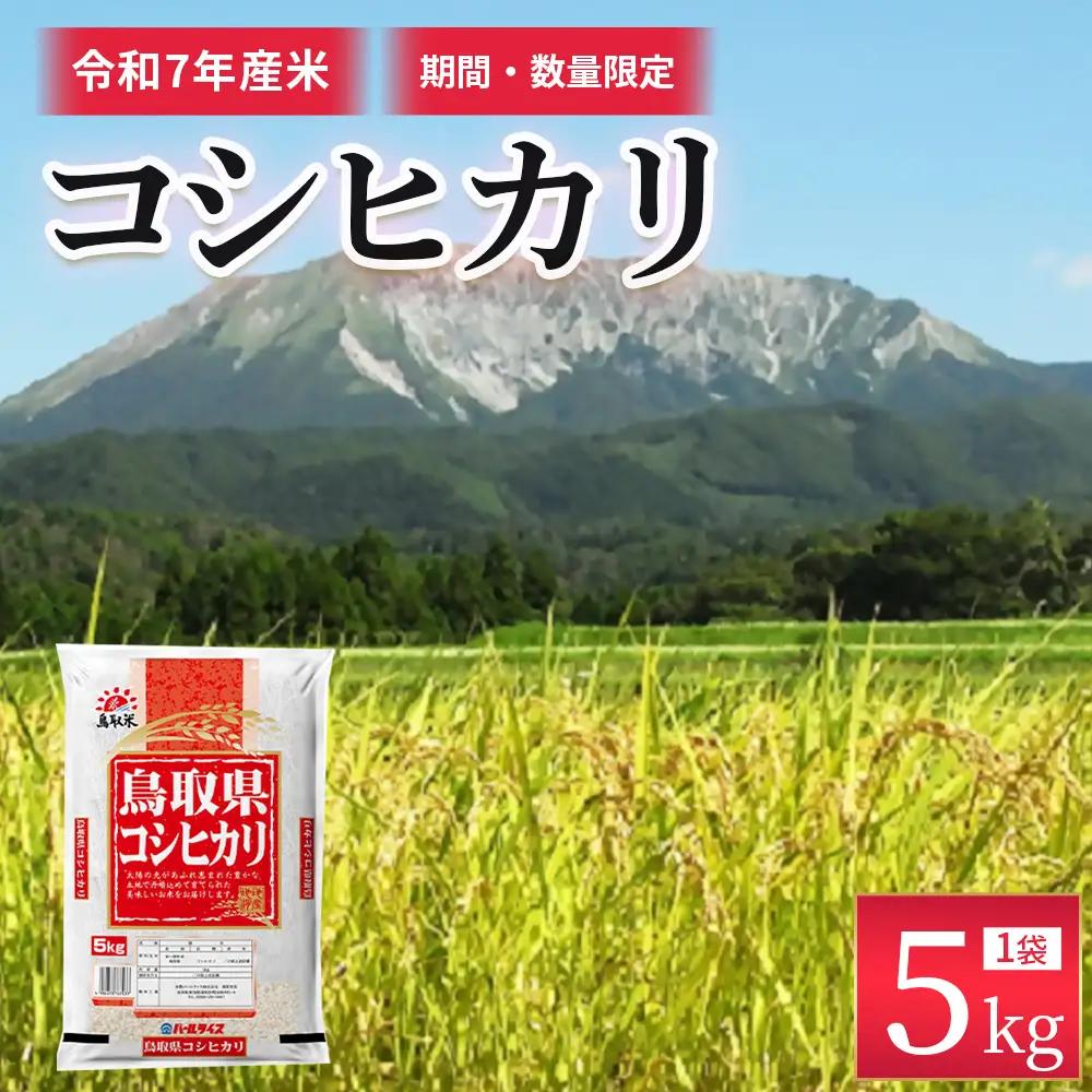 ※通常発送【数量限定】【令和7年産米】鳥取県産 コシヒカリ （5kg） 米 白米 精米