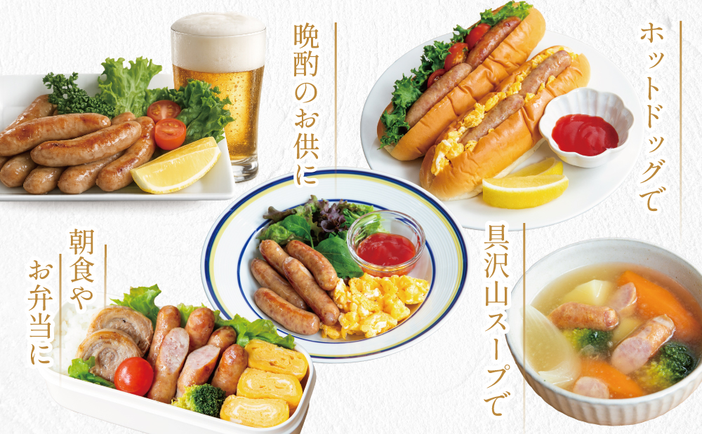 【マイスター山野井】ポークウインナー 計1kg（500g×2P） 豚肉100％使用 ★ 最短発送 ★ 南さつまの薫り こだわり ウィンナー ソーセージ セット おかず 惣菜 お弁当 朝食 おつまみ B