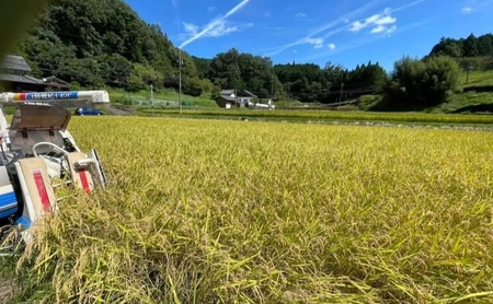 コシヒカリ 箸ひかり 伊賀産 令和8年産 真空 コシヒカリ