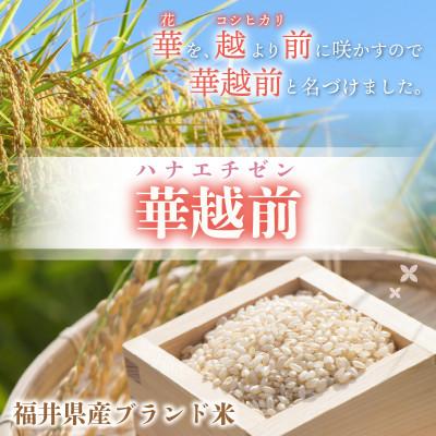 ふるさと納税 越前町 令和8年産　ハナエチゼン(玄米)　3kg |  | 01