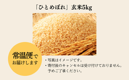 昭和村産米「ひとめぼれ」玄米5kg 米 精米 ヒトメボレ ひとめぼれ お米 こめ コメ 5kg 白米 ご飯 おすすめ お中元 お歳暮 ギフト 昭和村 ふくしま 福島県 送料無料【山内常一】