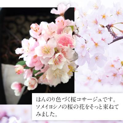 ふるさと納税 名古屋市 桜サクラのコサージュ |  | 01