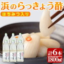 【ふるさと納税】はちみつ入り！浜のらっきょう酢(1800ml×6本セット) お酢 漬物 らっきょう 梅 酢飯 新生姜 みょうが 南蛮漬け【浜義正商店】