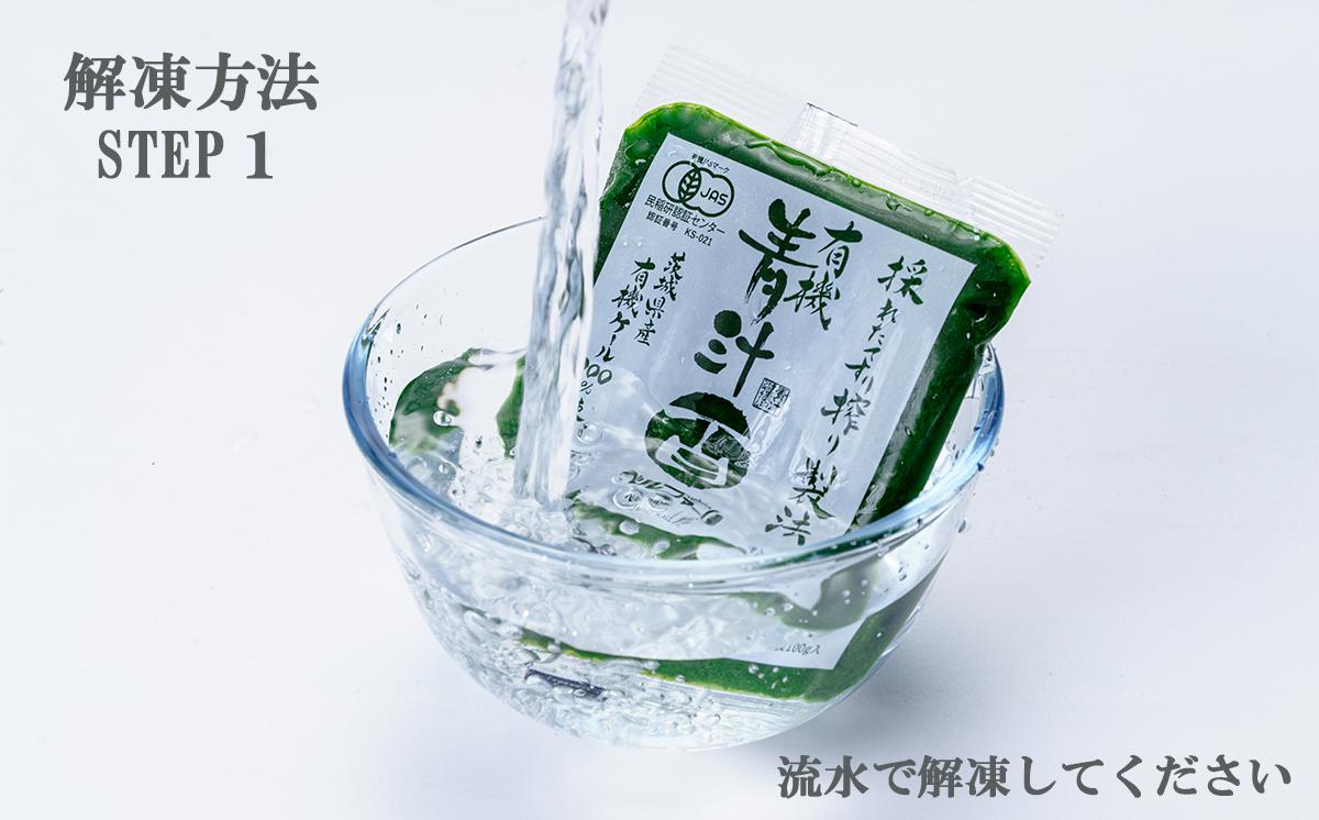 青汁シークワーサー入り 100g × 30 パック 【 12ヵ月定期便 】＜離島・沖縄配送不可＞【 茨城県 つくば市 飲料 ドリンク あおじる 青汁 健康  無添加 有機ケール オーガニックケール 】