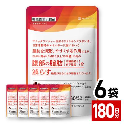 ふるさと納税 養老町 サプリメント 機能性表示食品 Slamee スラミー お腹の脂肪と皮下脂肪を減らす 6袋(6ヶ月分)