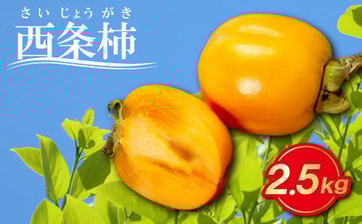 とびっきり甘い西条柿 2.5kg【先行予約 果物 フルーツ 柿 かき 西条柿 高糖度 渋抜き処理済 2.5キロ 期間限定 季節限定 早期予約 11月発送】